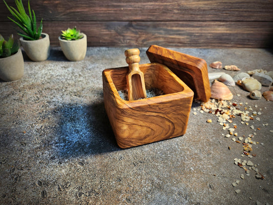 Olive Wood Salt Cellar With Lid and spoon of salt, Wooden Salt Holder with lid usable on table, Handmade Salt Container wooden Pinch Bow